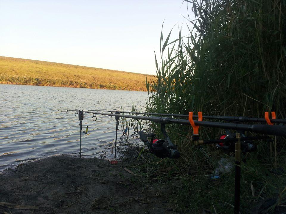 Diverse :) - 4188724129060087572061732306559n1.jpg